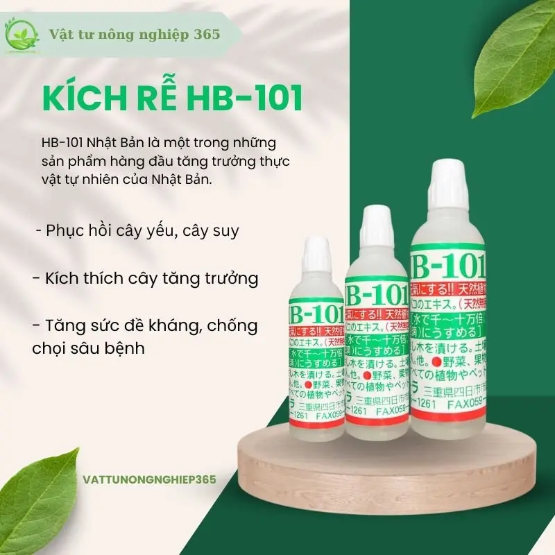[Combo 3 lọ] Kích Rễ HB-101 Nội Địa Nhật Bản, Phục Hồi Cây Yếu, dùng được cho tất cả các loại cây lọ 6ml 1