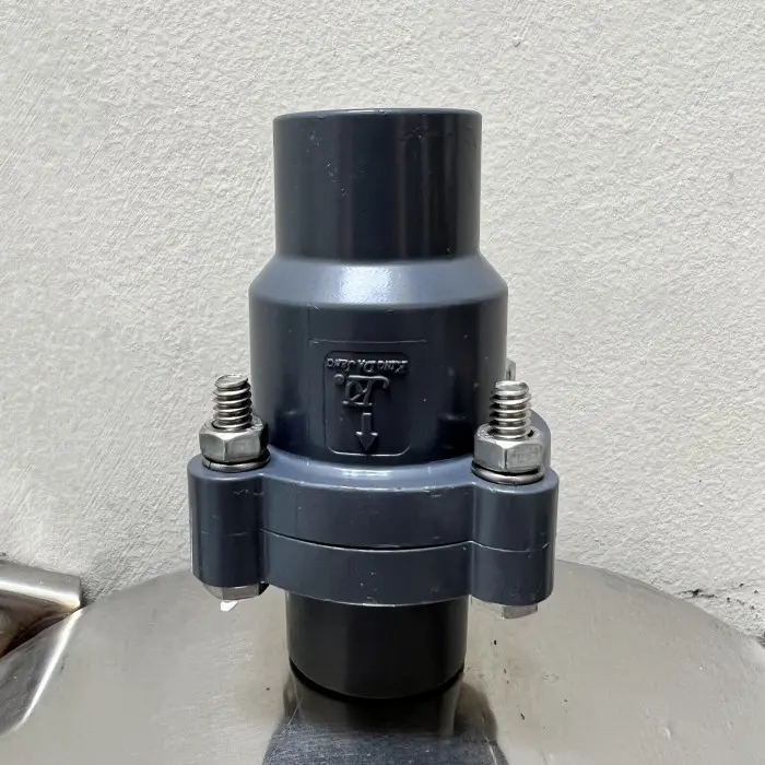 Spring Checkvalve Check valve PVC KDJ 3/4 inch in 3/4" inch Tusen klep