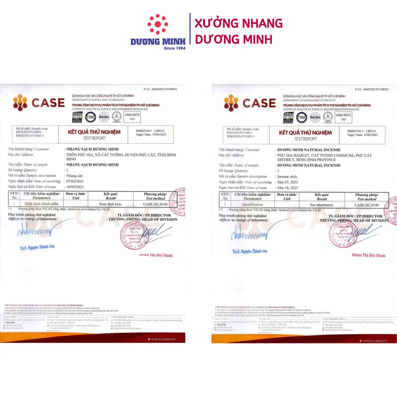 Nhang bồ kết tự nhiên Dương Minh - Thành phần Organic - Nhang khử khuẩn, thắp cúng, đuổi muỗi, xông nhà 1