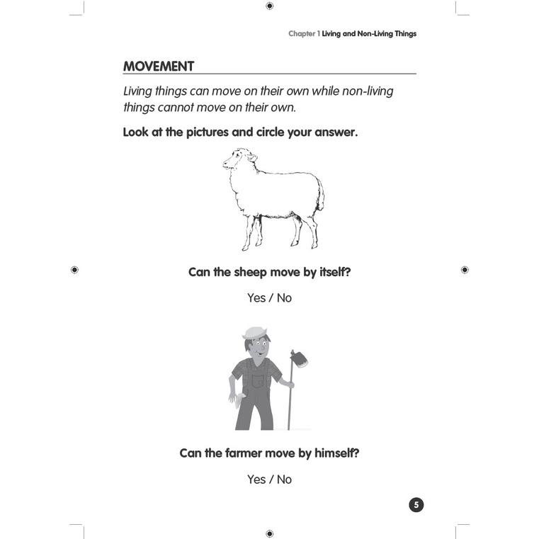 Product Introduction of High Quality Headstart Science Kindergarten 2 / Assessment Books 8