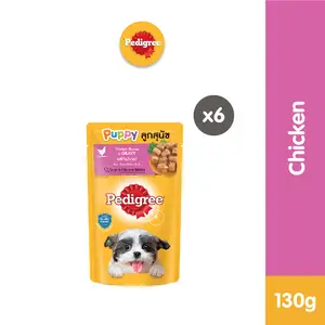 Pedigree Makanan Anak Anjing Basah Pouch rasa Chicken 130 gr - Isi 6 makanan  anak