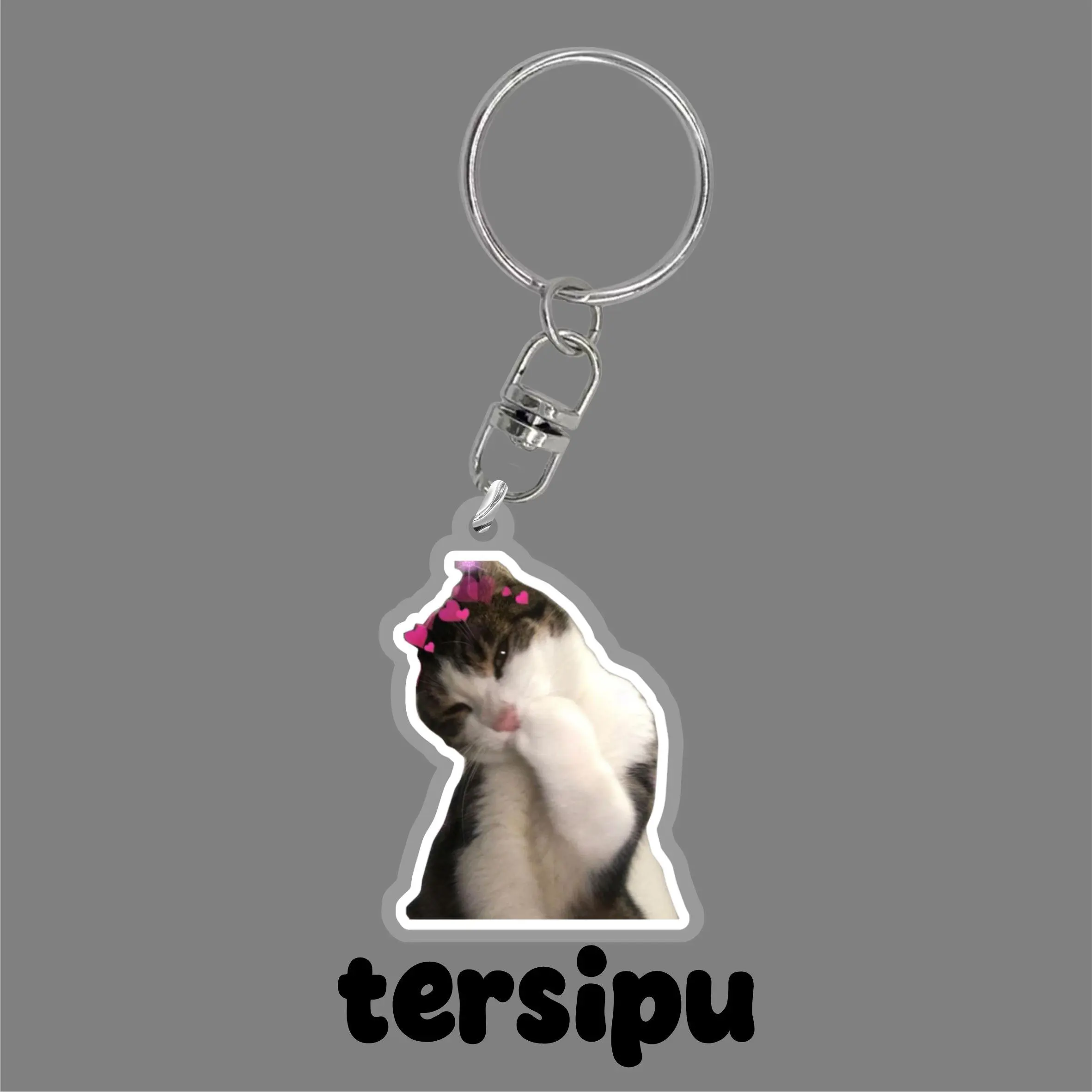 TERSIPU
