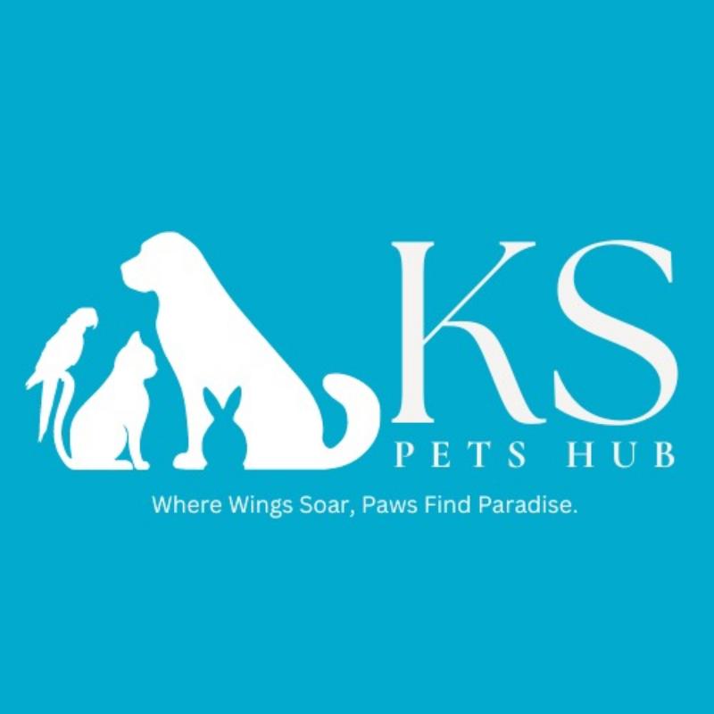 Product Introduction of Original Product [4lb/1.8kg]  Nourish Life Salmon Adult Dog 4lb/ 1.8kg Food 9
