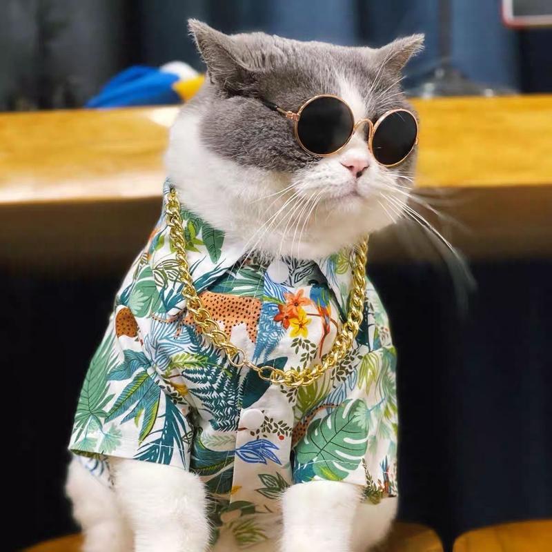 Cat Shirt Summer Thin Floral Internet Celebrity Blue and White Cat Anti-Shedding Clothes Ragdoll Schnauzer Dog Small Breed 0