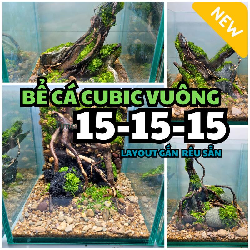 Mẫu mới Bể Cubic 15x15x15 Bể cá thủy sinh mini để bàn phụ kiện thủy sinh cây giả Layout setup sẵn phong cách thiên nhiên Tổng Hơp