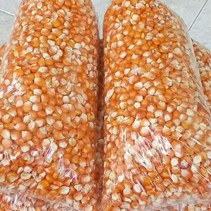 JAGUNG MENTAH 1 KG Rendah gula Kering Wijen