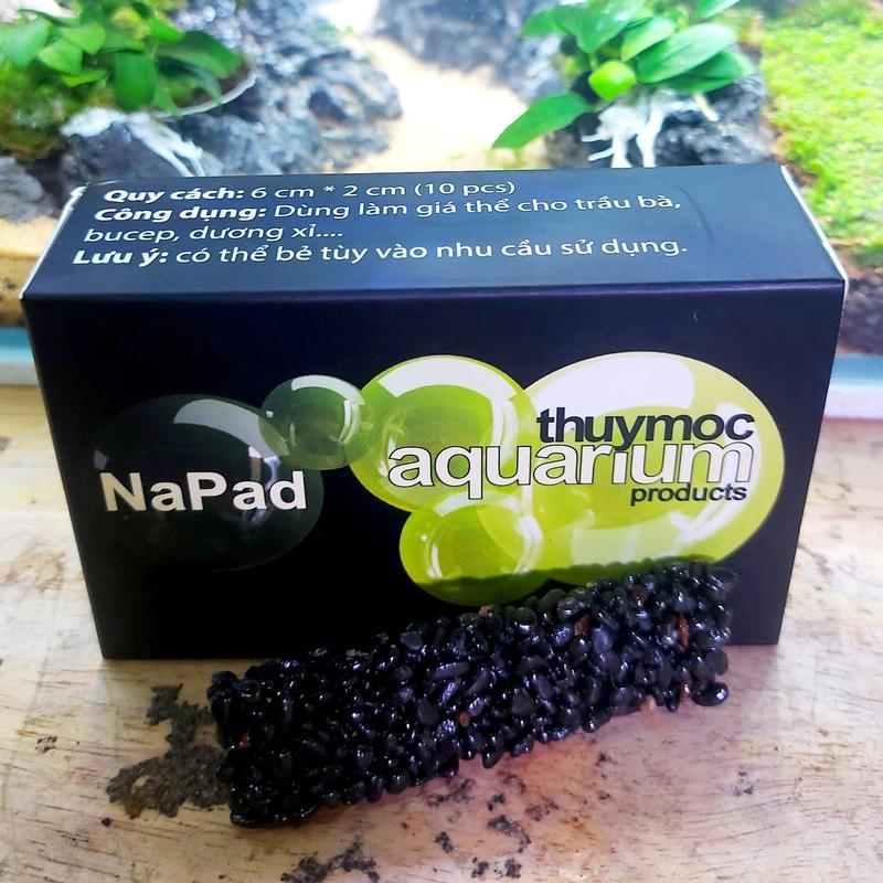 Giá thể trồng cây NaPad Thủy Mộc (Hộp 10 miếng) Nâu/Đen để ươm Ráy, liễu răng cưa, bucep cây thuỷ sinh 1