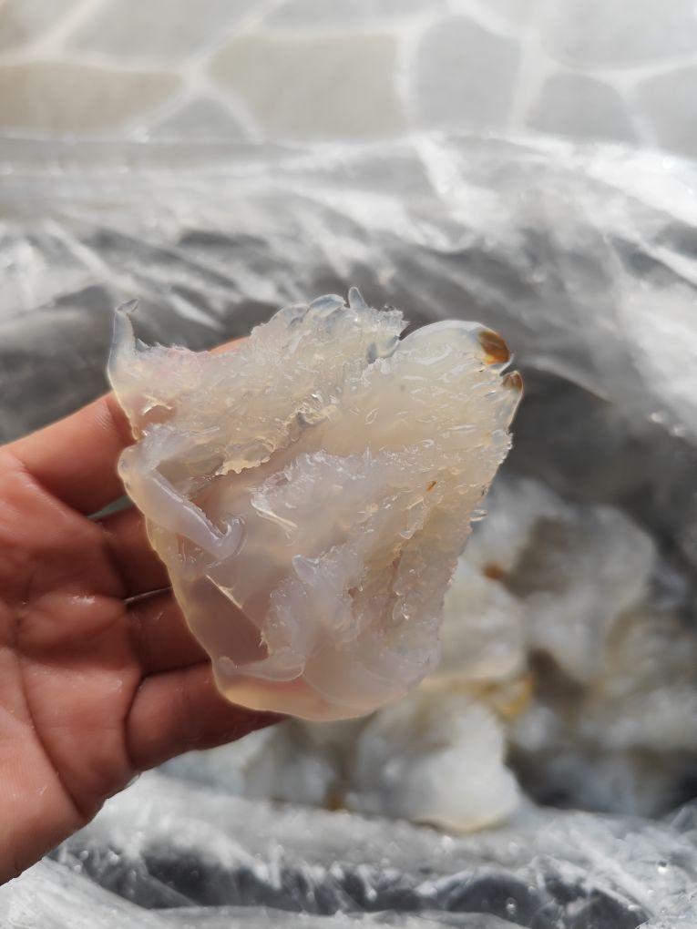 Product Introduction of combo 1kg sứa chân và 1kg sứa mình chưa xả mặn 7