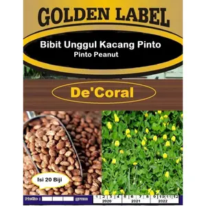 Ready Gosend Bibit Unggul Kacang Pinto | Benih Kacang Pinto | Pinto Peanut