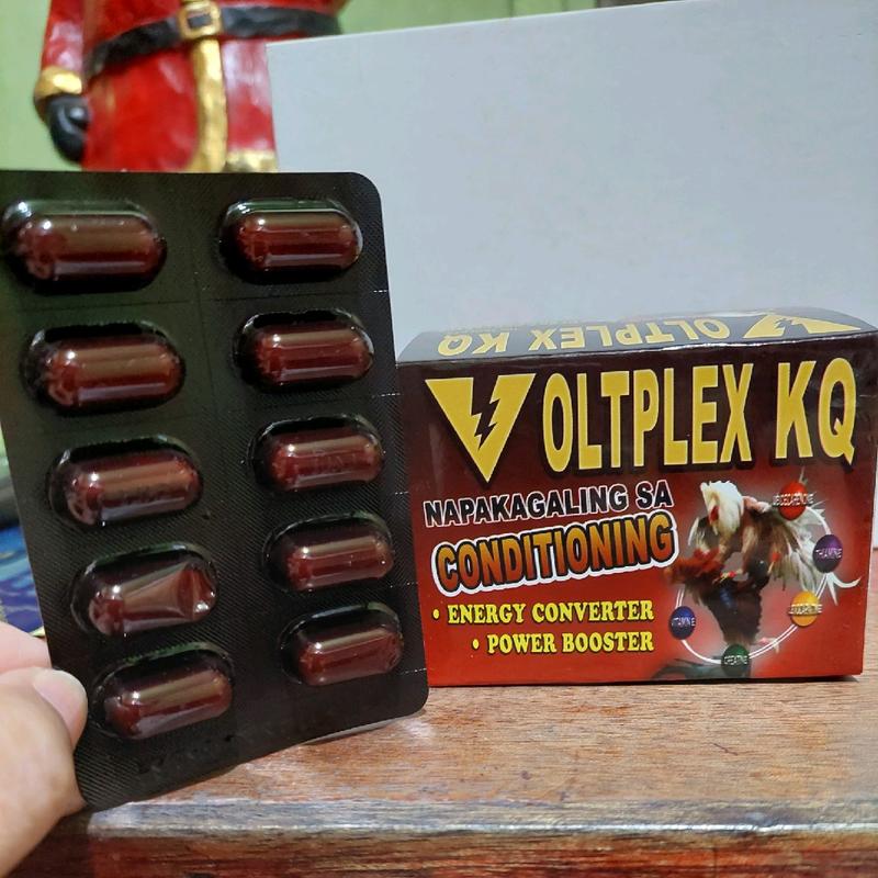 Excellence Voltplex KQ Tablet for gamefowl(10capsule) - TikTok Shop ...