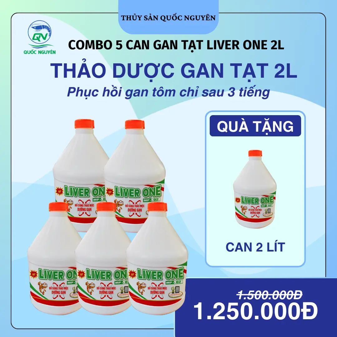 THẢO DƯỢC TẠT DƯỠNG GAN TÔM LIVER ONE - GIAỈ ĐỘC GAN, TĂNG CƯỜNG CHỨC NĂNG GAN TÔM