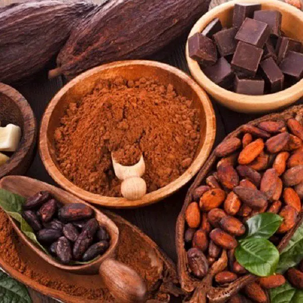 Bột Cacao Nguyên Chất Không Pha Bột Tây Nguyên - Ăn Vặt Api Food 0