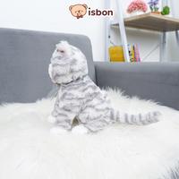 Gambar ISTANA BONEKA Kucing Bulu Sit Cat Mainan Anak Peliharaan Anggora Hadiah Spesial Cowok Cewek Bahan Lembut Non Alergi Premium - Sit Cat L Grey dari Boneka Jumbo viral Kab. Malang 3 Tokopedia