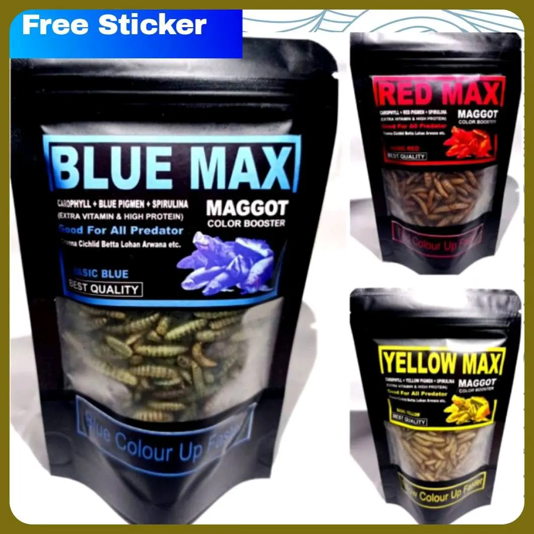 Maggot Channa Blue Yellow Red Color Booster 30gr Sachet dengan Vitamin ...