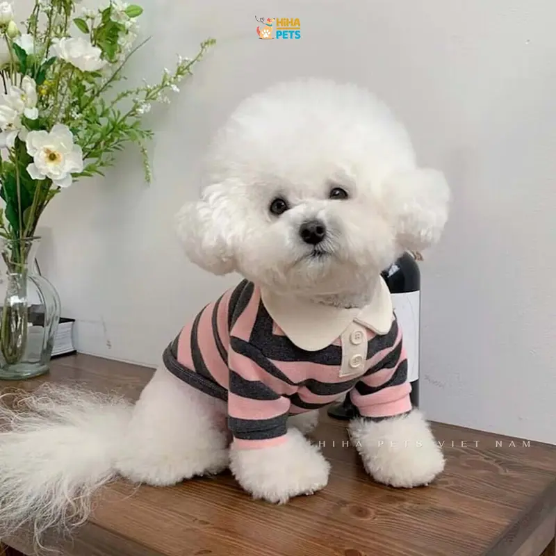 Áo Thun Sọc Cổ Thỏ Cotton Dễ Thương Cho Chó Mèo Mặc Quần Áo Cho Thú Cưng Cao Cấp Hàn Quốc Hiha Pets. 3