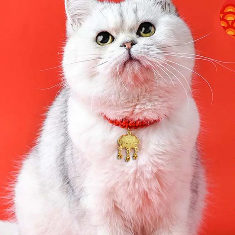 Vòng Cổ Thú Cưng Trang Trí, Se Và Phong Cách, Có Khóa Tuổi Thọ, Thích Hợp Cho Mèo Và Chó, Mua Ngay B4X1 6