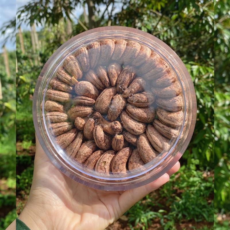 Hạt Điều Rang Muối 1 hộp xếp hoa chưa tới 500gr Snack Nuts Food 0