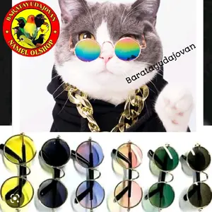 PAKET LENGKAP KALUNG RANTAI KUCING DAN KACAMATA KUCING, KALUNG RANTAI WARNA KUNING EMAS GOLD DAN KACAMATA KUCING