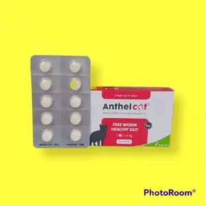 ANTHEL CAT OBAT CACING 1 TB BLISTER