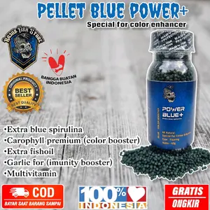 Pelet blue power pakan untuk menaikan warna biru
