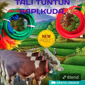tali tuntun sapi /tali tambang /tampar sapi