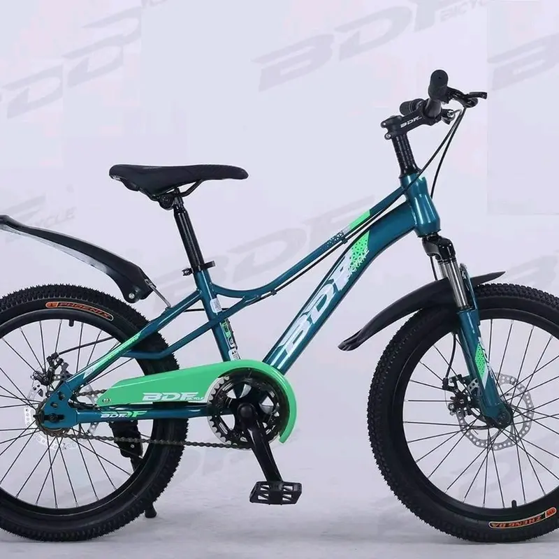 Xe đạp size 20 inch bé trai 3