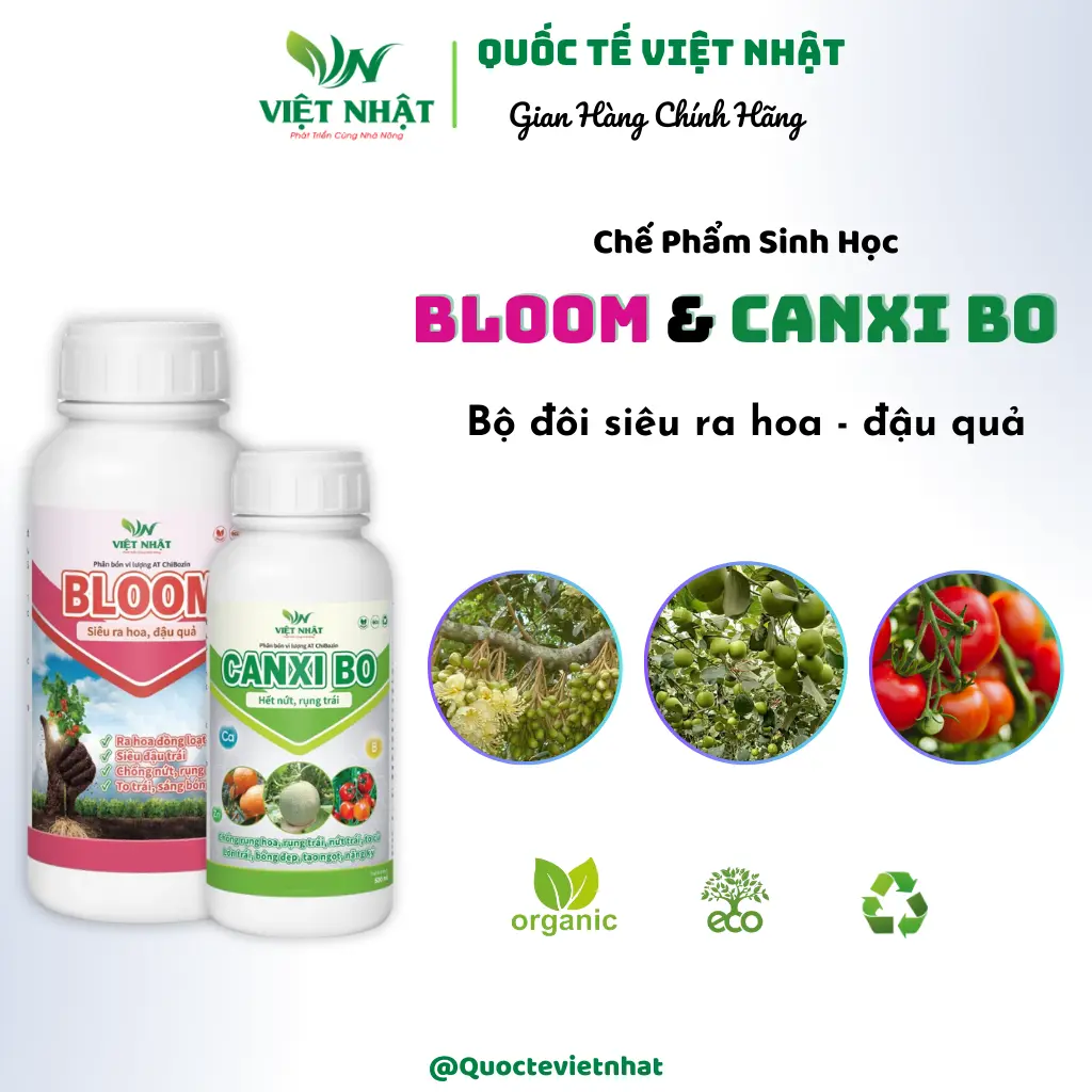 Bộ đôi Bloom&Canxi Bo kích thích ra hoa, đậu quả nhanh hơn, bổ sung dinh dưỡng hữu cơ cho trái, giúp trái lớn nhanh, to trái, bền khỏe cây