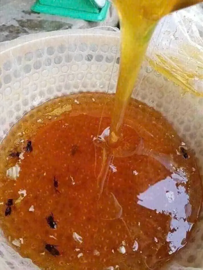 1 Lít Mật Ong Nguyên Chât, Mật Ong Hoa Cà Phê - Lành Hương Vị
