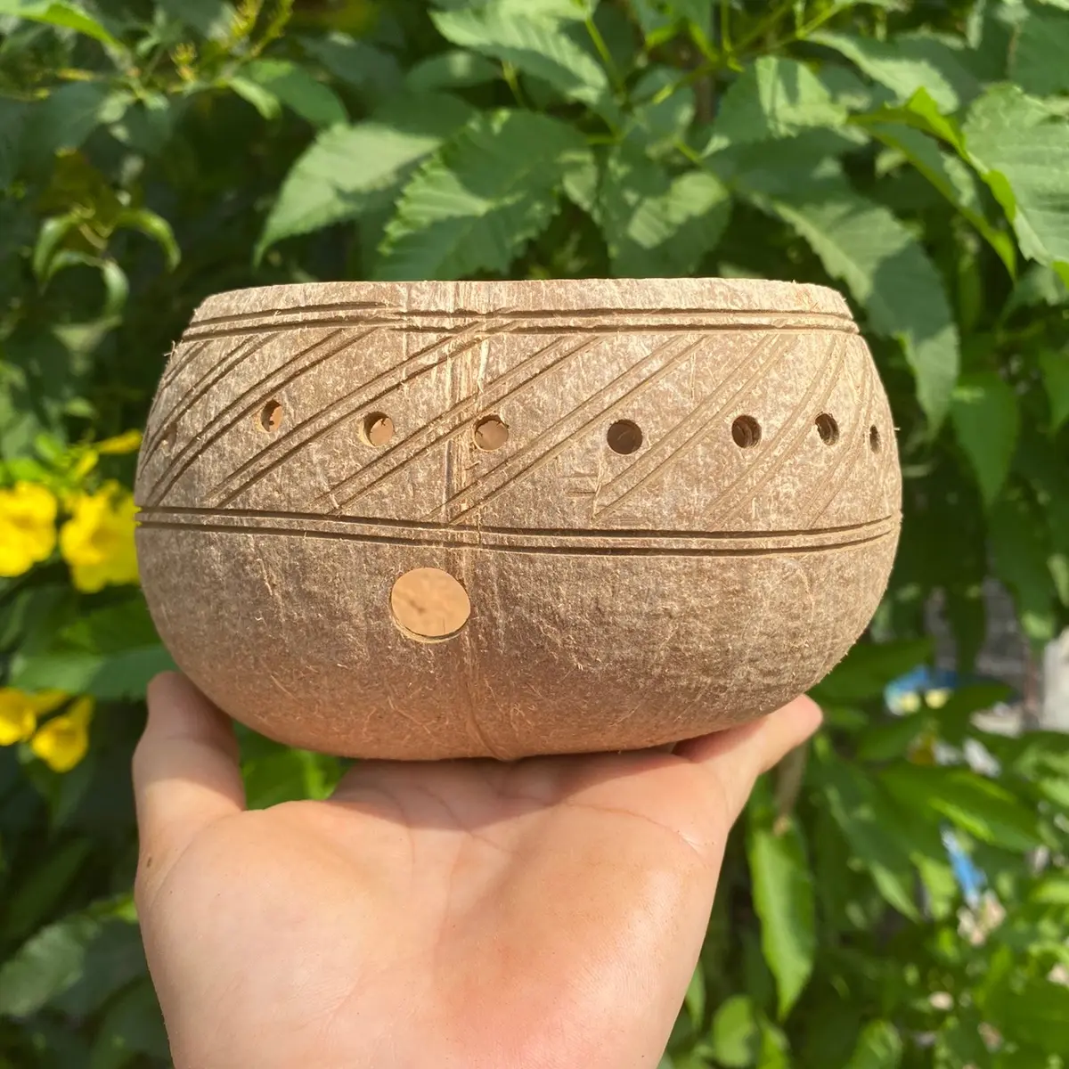 Gáo dừa trồng lan, cây kiểng, sen đá size lớn chậucây