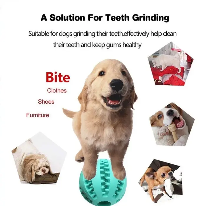 Lucu Bola treat ball dog ball karet mainan anjing chew teeth pembersih gigi - S 3