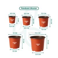 Gambar Pot Nursery 100 / Pot Elastis 8,5 cm - Serbaguna untuk Bibit Sayur & Bunga - Benih Seribuan - POT NURSERY 100 dari Benih Seribuan Kab. Boyolali 3 Tokopedia