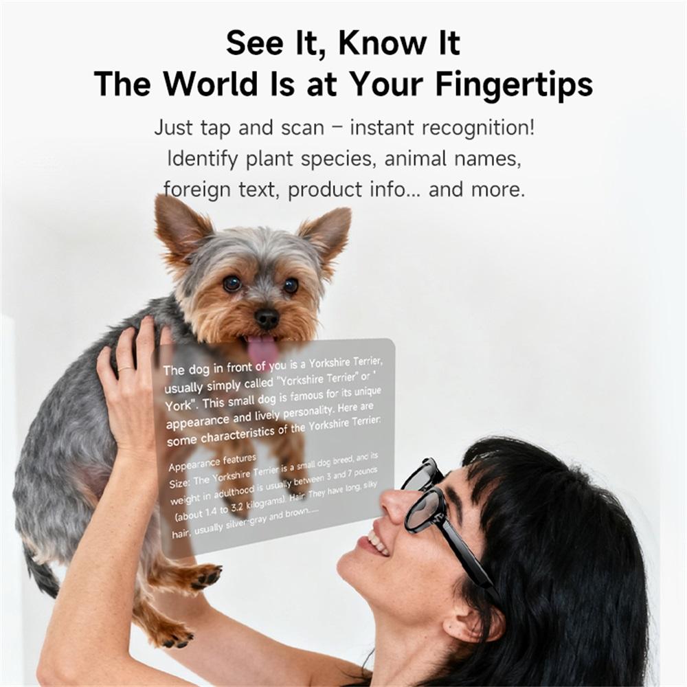 AI Smart Glasses Real-time Translation Dual Camera Bluetooth Call Sunglasses Shoot Audio Video Music Player Multifunctional Men - Image 2