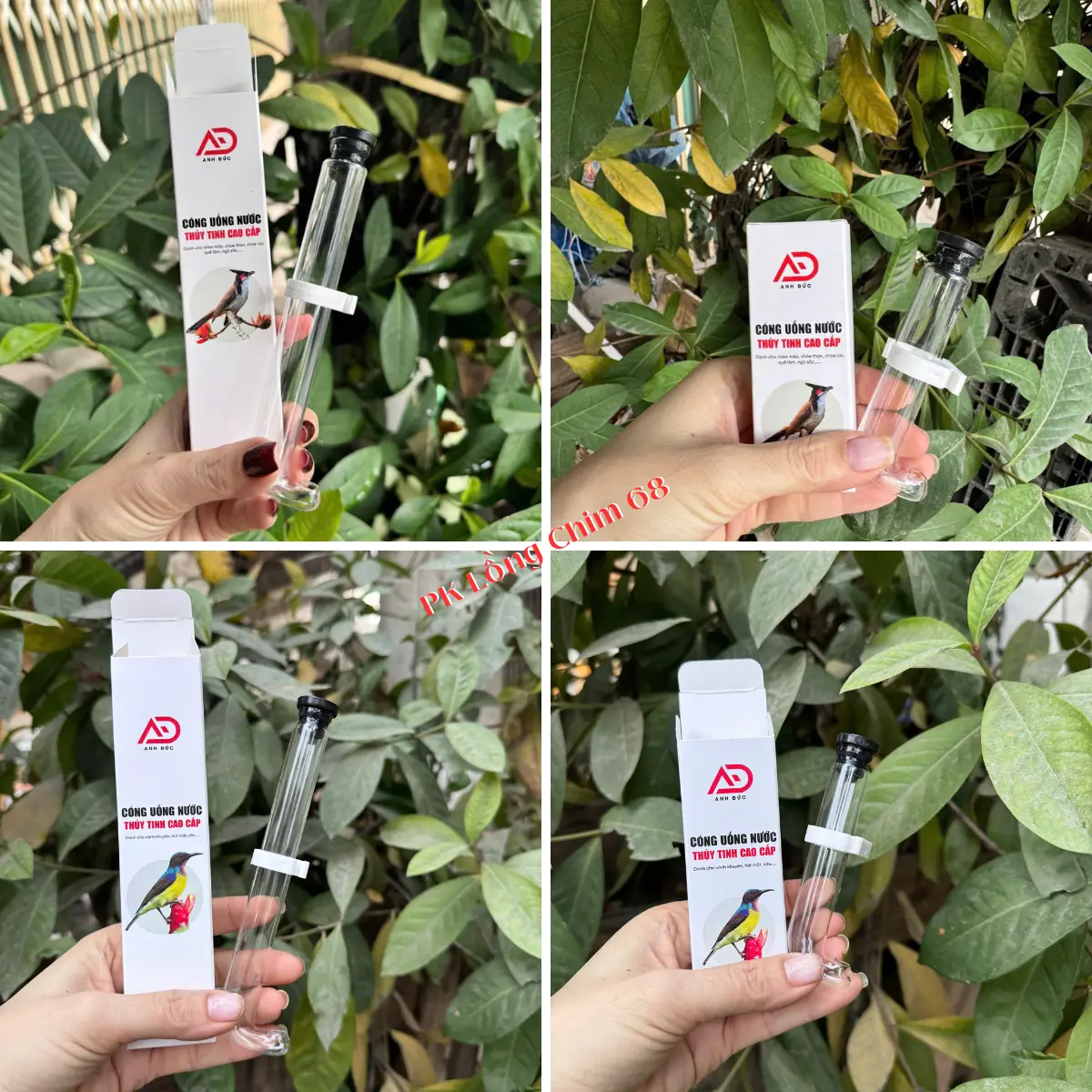 Cóng đựng nước cho chim - Cóng Chào mào,khuyên (9cm-15cm-20cm-25cm Tàu nút đen)