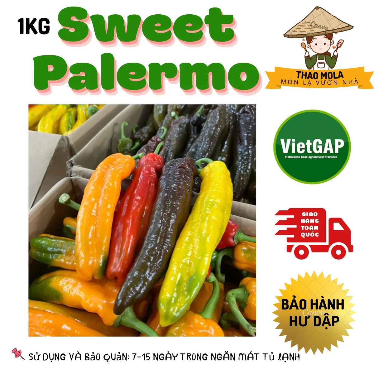 1kg Ớt trái cây dài Sweet Palermo màu Cam- Giòn Ngọt ko Hăng/Cay - Món Lạ Vườn Nhà