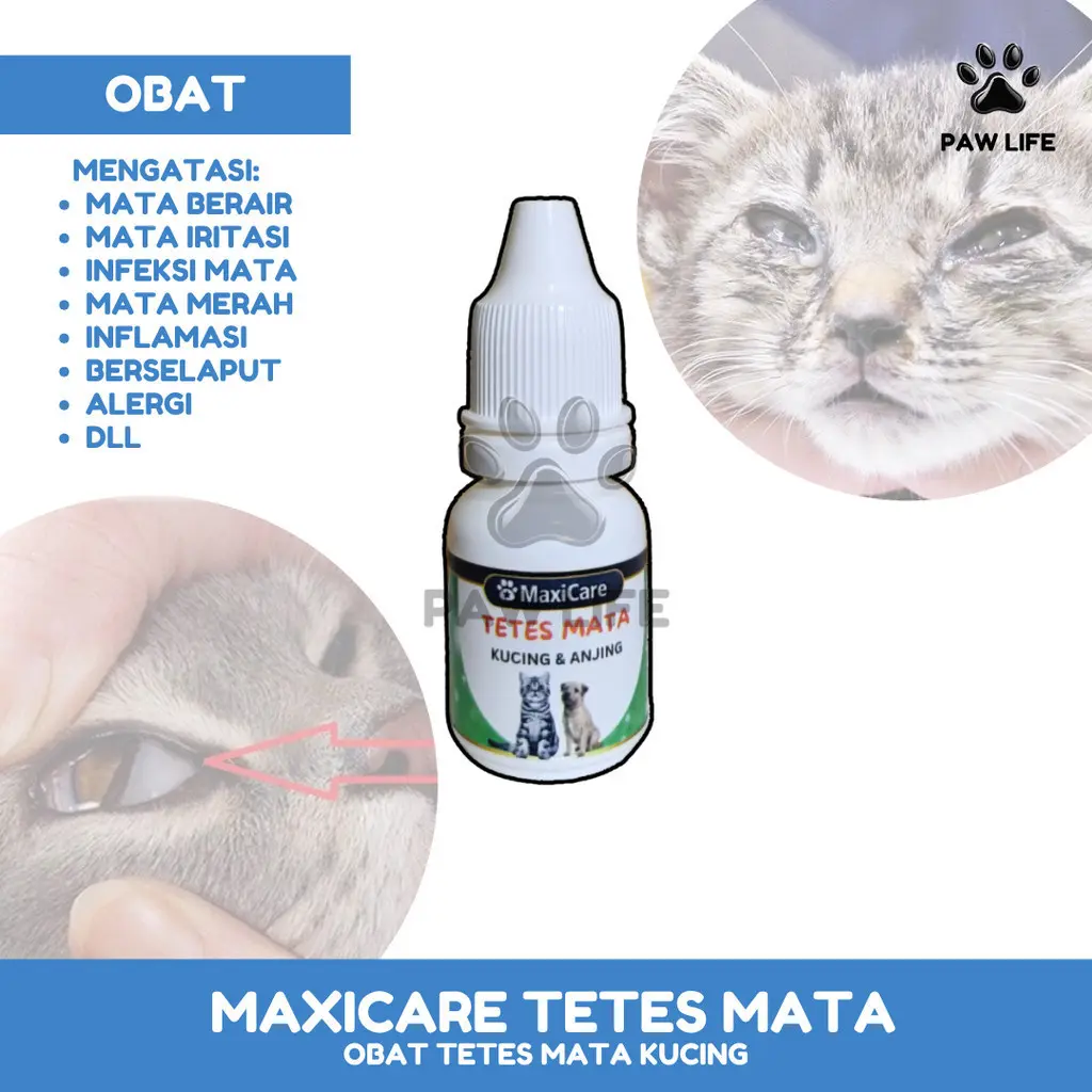 PL Maxicare TETES TELINGA 10ML Obat Tetes Kutu Telinga 10ml Kotoran Kuping Infeksi Gatal Iritasi