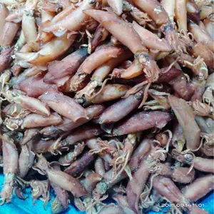 CUMI TAWAR BESAR KERING KHAS MEDAN Alami