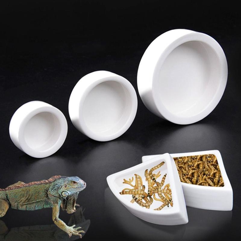 Product Introduction of Creative Ceramic Lizard Bowl White Round Reptile Feeding Dish Escape Proof Aseptic Food Container Amphibians 8