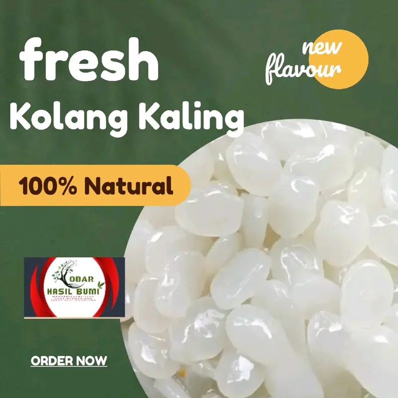 Kolang Kaling Mentah segar 1kg Alami Organik Makanan Buah Zuriat 0