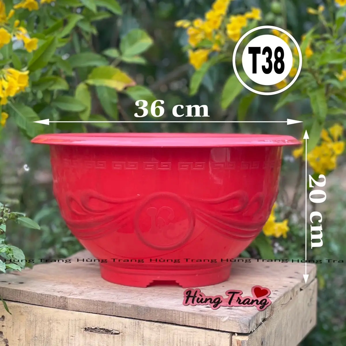 [ 10 cái ] chậu nhựa T38 dày dặn ( miệng 36cm x cao 20cm ) chậu  hoa dày dặn