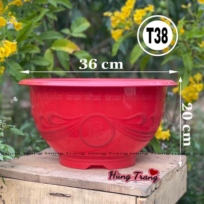 10 cái chậu nhựa T38 dày dặn miệng 36cm x cao 20cm chậu hoa dày dặn
