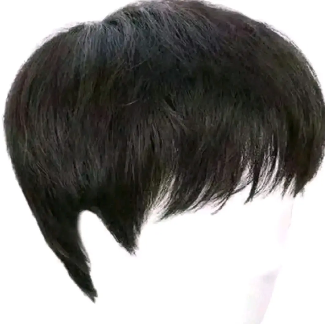 WIG PRIA RAMBUT PENDEK