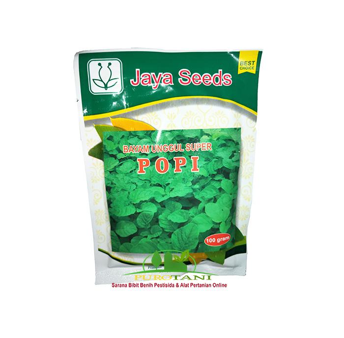 Gambar bibit bayam hijau Unggul Super POPI 100 gr hidroponik dari PUROTANI.ID Kab. Purworejo Tokopedia