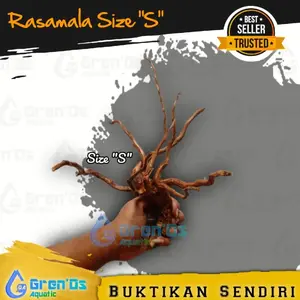 Kayu Rasamala Size S Aquarium Aquascape