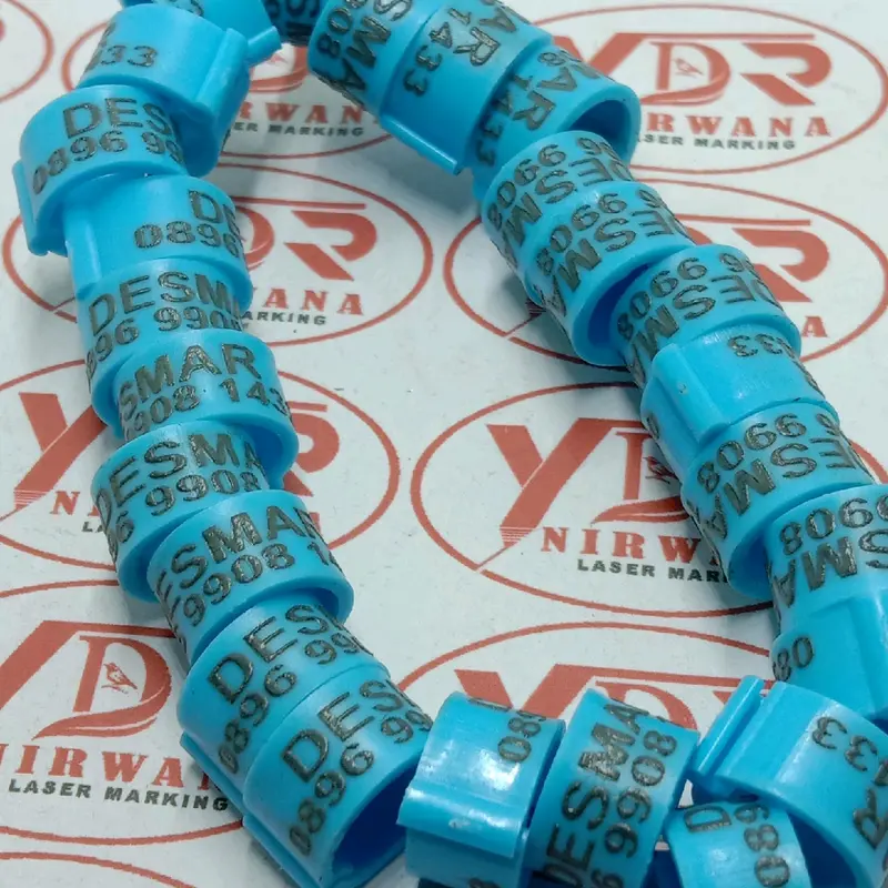 RING KLIP HANYA UNTUK MERPATI DAN PUTER 4