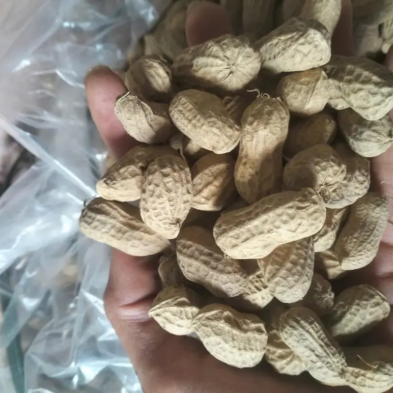 lạc đỏ cả vỏ Compo 2kg khô vụ mới Thức Ăn 0