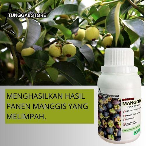 Pupuk organik cair 100ml / Pupuk Perangsang Buah Manggis / Paket Pupuk ZPT Buah Manggis / Pupuk Penyubur Manggis Pupuk Organik Booster Perangsang dan Pelebat Buah Manggis Serbuk Terbaik Agar Cepat Berbuah Lebat 1