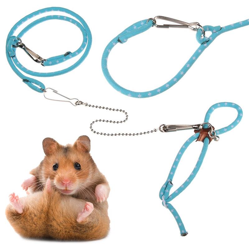 Soft Adjustable Small Pet Accessories Ferrets Rat Leash Bird - TikTok ...