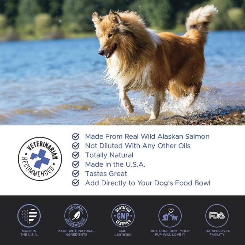 Product Introduction of Dầu Cá Hồi Cho Chó Mèo Pet Honesty Wild Alaskan Salmon Oil Dưỡng Lông, Cải Thiện Da, Tăng Miễn Dịch (Chính Hãng) 2