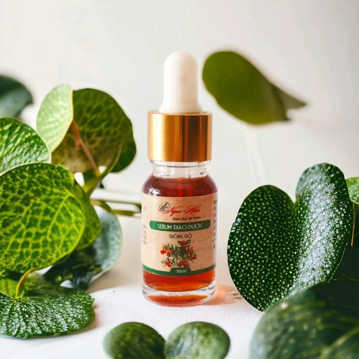 Serum thảo dược thông đỏ Ngọc Hậu Skincare