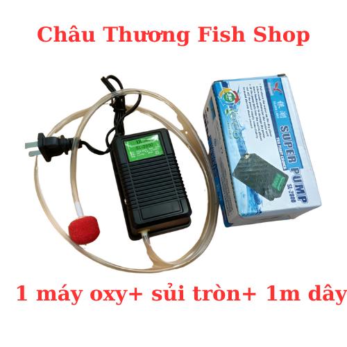 Máy sủi oxy 1 vòi cho cá cảnh kèm phụ kiện